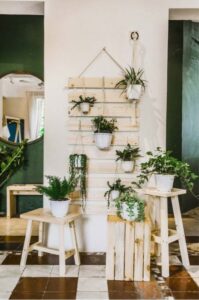 meo-chon-do-decor