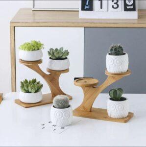 đồ decor mini để bàn
