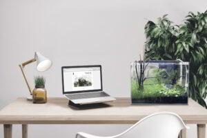 đồ decor mini để bàn
