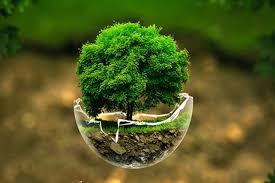 đồ trang trí phù hợp người mệnh Mộc