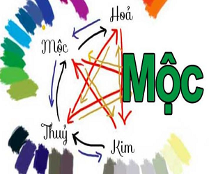 Màu đại kỵ mệnh Mộc
