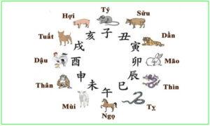 màu sơn nhà theo tuổi