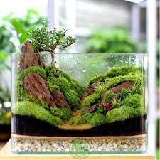 phụ kiện decor thiên nhiên 