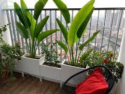 phụ kiện trang trí ban công