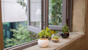 vật dụng trang trí cửa sổ