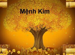 vật liệu hợp mệnh Kim