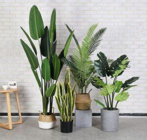 cây giả decor phòng khách