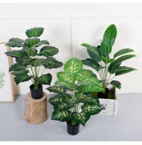 chậu cây nhỏ decor bếp