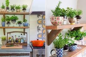 chậu cây nhỏ decor bếp
