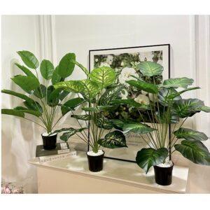 chậu cây nhỏ decor bếp
