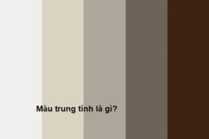 sơn tường màu trung tính